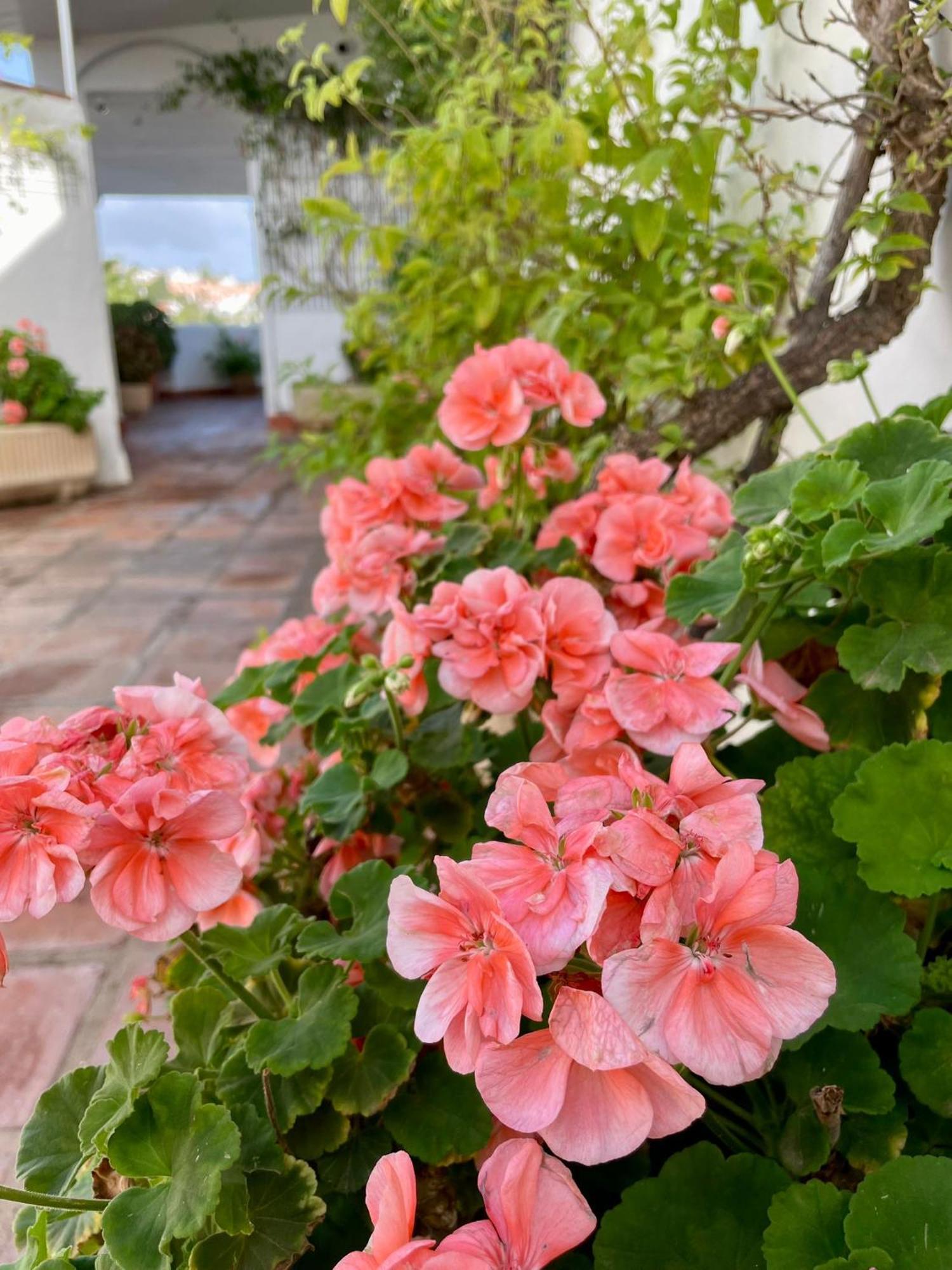 Apartmán Sun Castle Fuengirola Exteriér fotografie