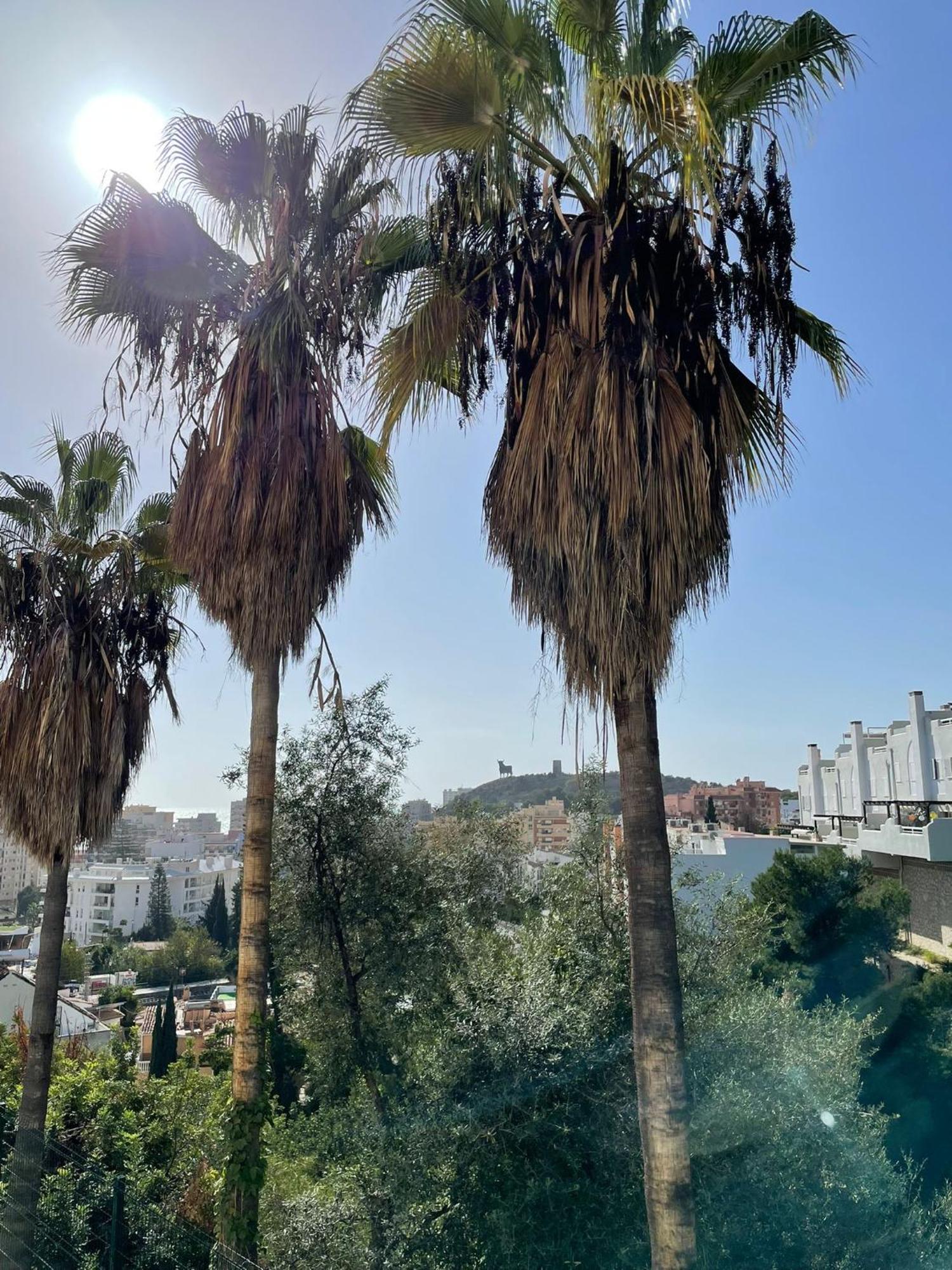 Apartmán Sun Castle Fuengirola Exteriér fotografie